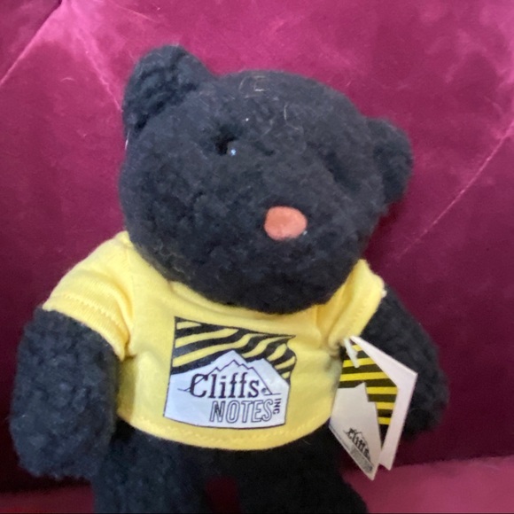 VTG & NEW 📌Cliffs Notes 36th of Series Cliffs Notes Collector’s Teddy Bear 1999 - Picture 2 of 11